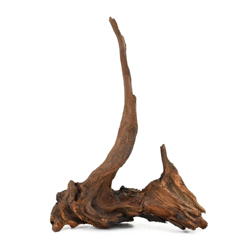 Natural Driftwood Spider Wood Branches Fish Tank and Reptile Terrarium Decor Assorted Sizes for Aquariums and Lizard Habitats (14-17 inch (Pack of 1), Mopani Driftwood)