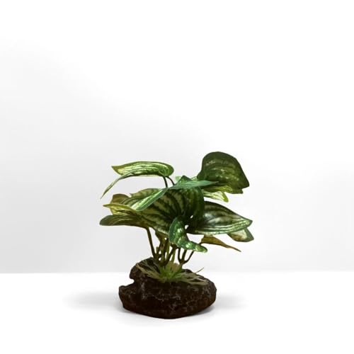 JGbaby Artificial Aquarium Plants,Fish Tank Decorations Betta Leaf Hammock 4in Realistic Silk & Plastic Plants, Hideout Decor for Betta. Goldfish,Reptiles,Small Tanks (Green Type-C) - color: Green Type-c, size: 4 inches