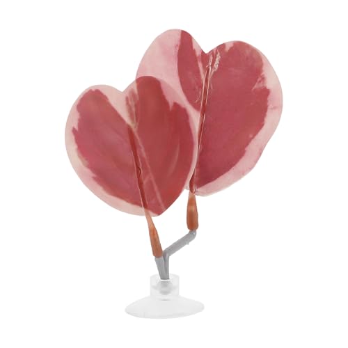 Betta Fish Bed, Betta Leaf Bed, Plastic Betta Heart-Shaped Hammock, Betta Hammock Pad with Suction Cup, Betta Fish Resting Place Betta Fish Supplies Aquarium Decor, Pink - color: Pink
