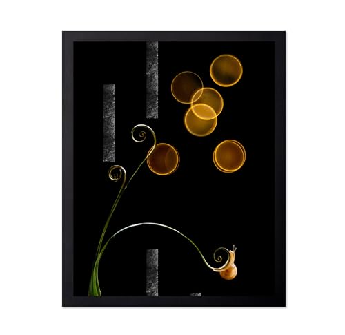 Monem Art Ethereal Atmosphere Print - The Snail and Light Poster - Animal Photography Wall Decor - Aesthetic Office, Living Room or Office Decor - 8x10 Unframed Wall Art by Andi Halil - color: Style-06, size: 8"L x 10"W