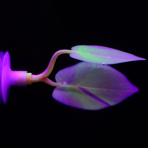 2 Pack Betta Fish Leaf Pad, Silicones Bettas Corals Hammock with Suction Cup Improves Betta's Health by Simulating The Natural Habitat Organic, Comfortable Rest Area for Aquarium Ornaments - color: E