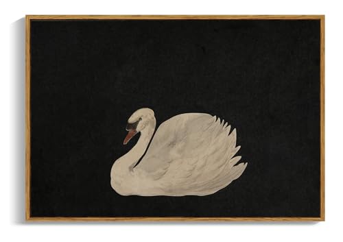 OIQArtOIQ Vintage Framed Wall Art Moody Grace Swan Canvas Art Prints Rustic Farmhouse Pictures Wall Decor Modern Cottagecore Paintings Artwork For Bedroom Kitchen Bathroom Office Living Room - color: Elegant Swan, size: 16x24 in