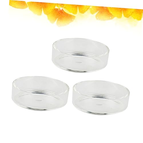 BESPORTBLE 3pcs Crystal Shrimp Feeding Bowl Durable Transparent Glass Shrimp Food Dish for Aquariums for Fish and Reptiles Enhances Tank Aesthetics