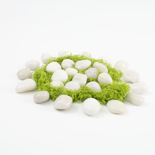 River Rocks - Natural Polished White Pebbles, 0.5-1 inch, 40 lbs - Perfect for Indoor Planting, Vase Filling, Aquarium Decoration, and Garden Landscaping (White, Weight: 40 LB) - color: White, size: Weight: 40 LB