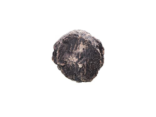 Plecoceramics Pleco Cave Natural Breeding Ceramic Decorations Fish Tank Aquarium Small Size (1 pcs)