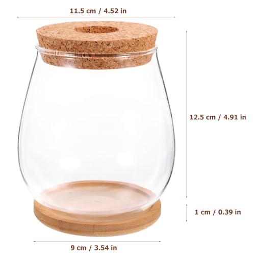 Milisten Hydroponic Glass Planter Vase with Tray 4.52X4.52X4.92In Transparent Diy Micro Landscape Bottle for Indoor Outdoor Plant Display and Home Garden Decoration