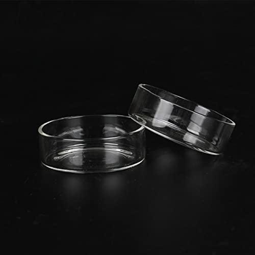 3pcs Round Shrimp Food Glass Bowl Crystal Shrimp Feeding Bowl for Aquarium Feed Dish Feeder for Supplies - size: Size 1