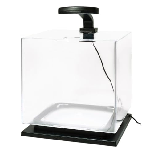 Tetra 3 Gallon Fish Tank, Aquarium Starter Kit with Pedestal Base, LED Light and Filter, For small tropical fish, guppies, goldfish, or betta - size: 3 Gallon