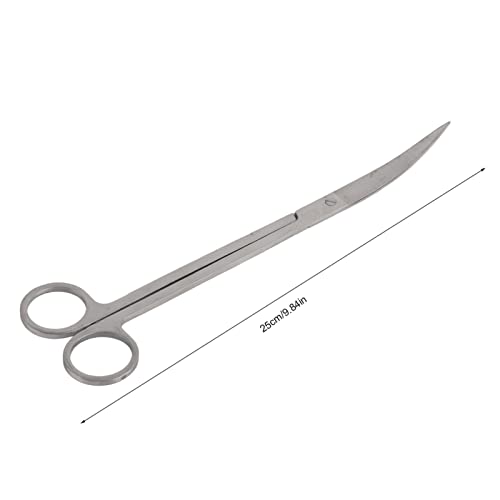 Stainless Steel Aquarium Plant Scissors, Professional Grass Trimming Tool with Mirror Polished Surface, Comfortable Hand Curve for Fish Aquascaping (Curved shear 25cm)