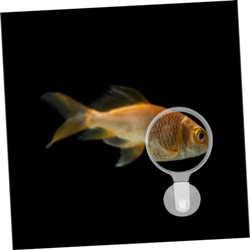 DECHOUS Aquarium Glass Cup for Detailed Observation of Small Animals and Plants Fish Tanks Easy to Install for Betta Fish Landscapes