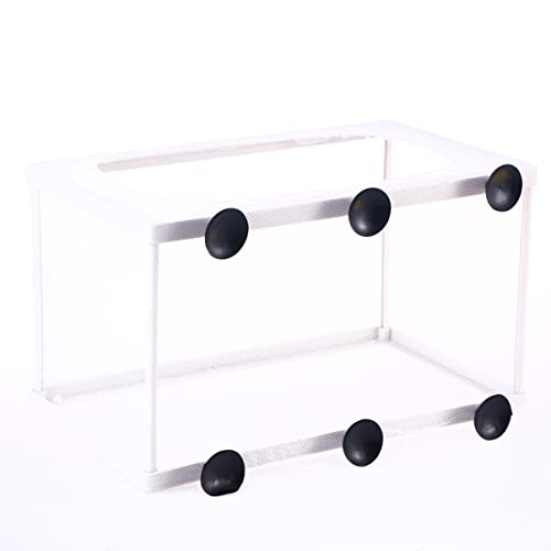 balacoo Fish Isolation Box for Aquarium with Suction Cups Large Size Fish Breeder Net Hatchery Incubator 10.23X5.9X5.9 Inch Separator for Tank Nursery