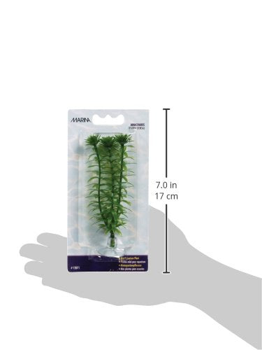 Marina Aquascaper Plastic Plant, Anacharis, 4-Inch tall