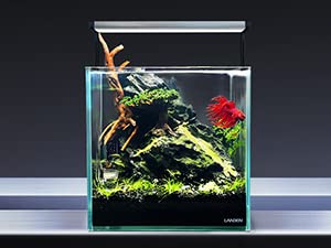 LANDEN Dark SEIRYU Stones Natural Rocks(17lbs, 3~11 inches,7-8pcs) for Aquarium, Paludarium, Terrariums, Landscaping Rocks, Decorative Aquarium Rocks - size: 08 Dark Seiryu Stones(3-11inch,17lbs)