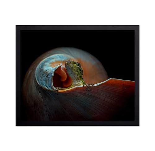 Monem Art Small Lizard Print - The Best Friend Poster - Wildlife & Nature Art - Animal Photography Wall Decor - Great Office, Living Room or Office Decor - 12x16 Unframed Wall Art by Andi Halil - color: Style-09, size: 12"L x 16"W