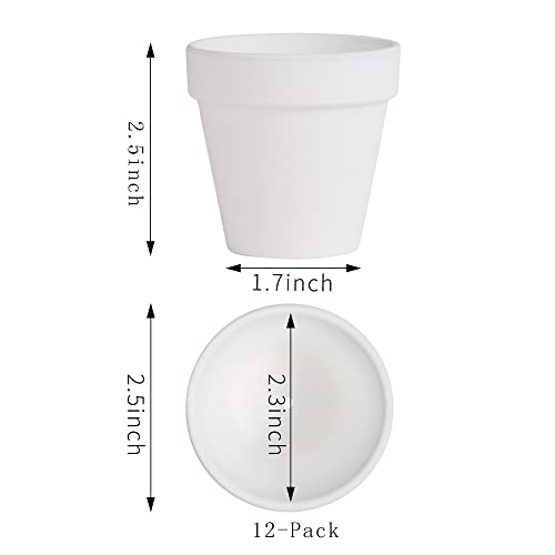 Yishang 2.5 inch White Terracotta Pots with Drainage Holes,Small Mini Clay Ceramic Pottery Planter,Cactus Flower Terra Cotta Pots,Succulents Nursery Pots for Indoor/Outdoor Plants,Crafts-12 Pack - color: White