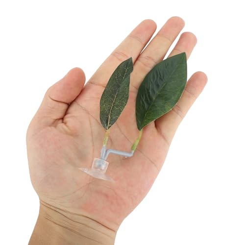 Betta Fish Bed, Betta Leaf Bed, Plastic Betta Hammock, Betta Hammock Pad w/Suction Cup, Betta Fish Resting Place Betta Fish Supplies Aquarium Decor, Green - color: Green