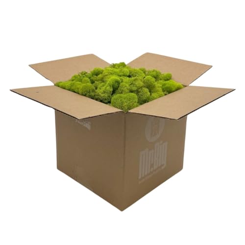 Preserved Reindeer Moss - Moss for Crafts, Home Decor, Art, Design & DIY Projects - Non-Toxic - USA Made (Chartreuse, Standard Box) - color: Chartreuse, size: Box