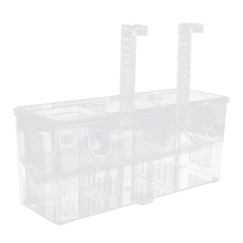 POPETPOP Fish Breeding Isolation Box Aquarium Incubator for Fry Prevents Easy Installation Cups Secure Nursery for Fish for Betta and Guppy Breeding