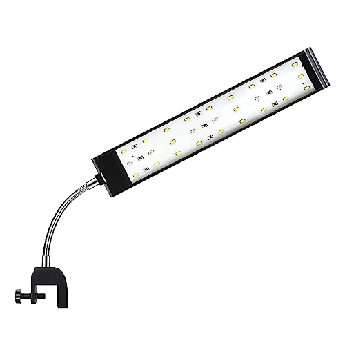 DaToo Aquarium Light Small LED Clip Light for Fish Tank 10W, 1 Yr Warranty - size: 10W (Without Timer & Dimmer)