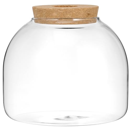 Yardwe Glass Terrarium Jar with Stopper 5.90In Hydroponic Plant Container Miniature Garden Vase Clear Glass Terrarium for Home Office Decoration