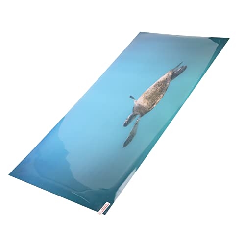Aquarium Background Paper PVC Self Adhesive 3D Effect Fish Tank Decoration Poster, HD Lifelike Deep Sea Animal Design, Non Sticker for Freshwater (61 * 30CM) - size: 61*30CM