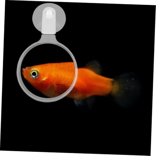 minkissy 4pcs Acrylic Fish Tank Magnifiers Cups High Definition Viewing for Plants and Creatures for Observing Betta Fish and Landscapes