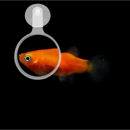 3 Pcs Aquarium Magnifying Acrylic Fish Tank Viewer Small Animal Plant Magnifier with Suction Cup Fish Tank Accessories