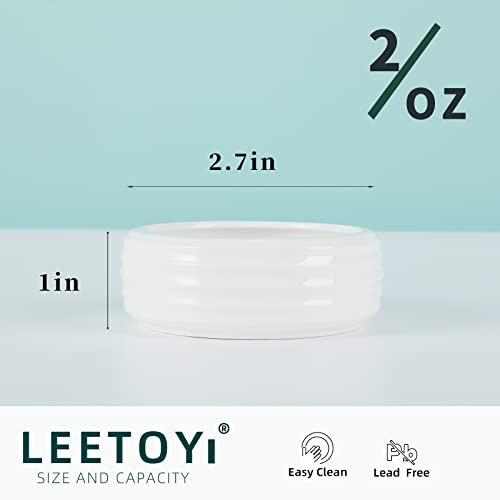Reptile Food Bowls Ceramic Mini Round Reptile Water Food Dish, Pet Food Bowl for Lizards, Small Snakes, Young Bearded Dragons, Gecko Tortoise Spider (White, Small-2Pack)
