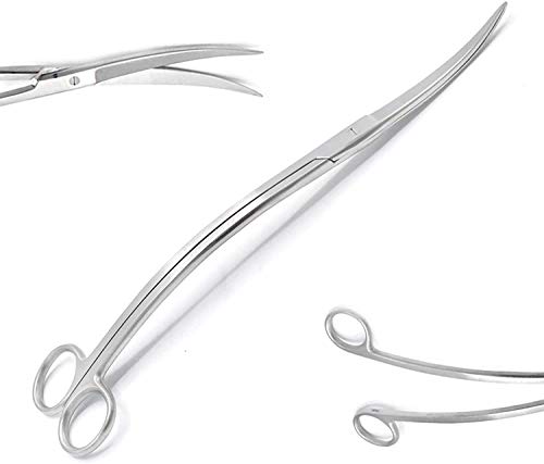 Professional Stainless Steel Aquarium Plant Curve Shear Wave Scissors 8'' Long by G.S Online Store