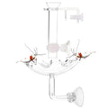 Shrimp Feeding Tube and Feeding Dish, Fit for Shrimp Fish, Mini Size, High Transparent Acrylic Material