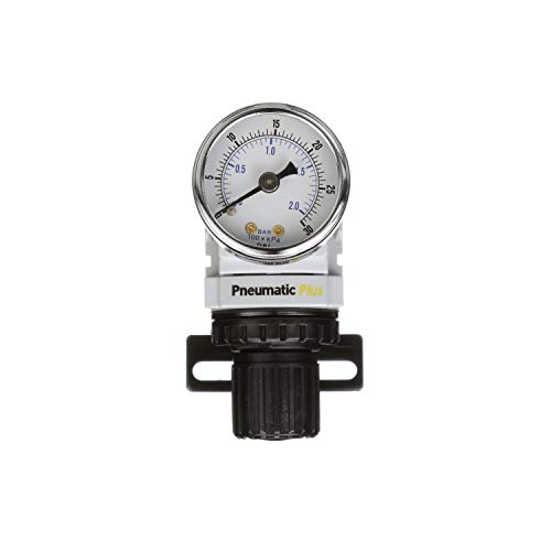 PneumaticPlus PPR2-N02BG-2 Miniature Air Pressure Regulator 1/4" NPT - Gauge, Bracket, Instrument Pressure (3-30 PSI) - size: 1/4" NPT (3-30 PSI)
