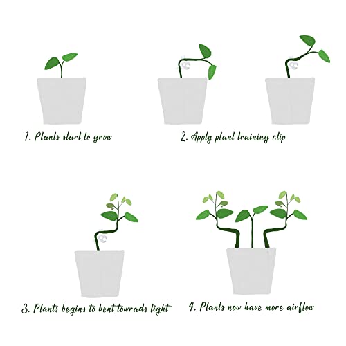 LucyPhy 60 Pack Plant Bender Angle Adjustable Plant Training Clips Low Stress Training Clips 90 Degrees Plant Stem(Circle Style,Transparent) - color: Transparent, size: 60Pack