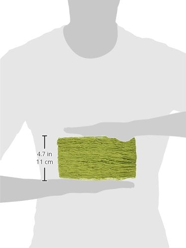 Beistle Decorative Fish Netting, 4 by 12-Feet - color: Green, size: 4' x 12'