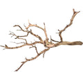 Koyal Wholesale California Driftwood with Natural Brown Branches, 36-Inch Large Driftwood Decor - size: 36 Inches