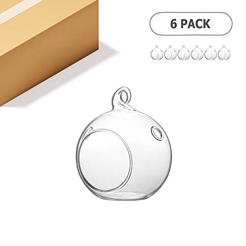 WGV Hanging Terrarium Globe, Width 2.25", Height 2.75", DIY Air Succulent Planter, Clear Glass Vase Orb with Flat Bottom, Candle Holder for Windowsill Outdoor Garden Decor, 6 Pieces Bulk - size: 2" Flat Bottom