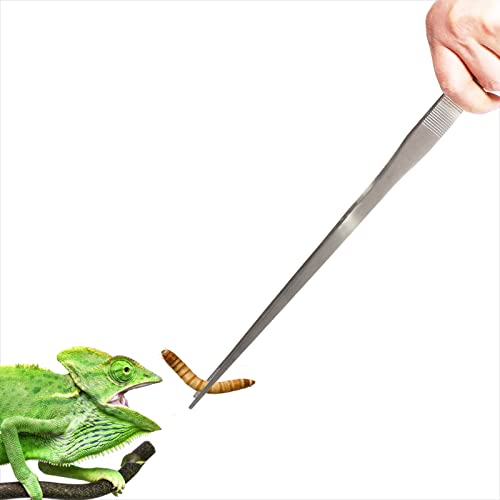 18.9 inch Heavy Duty Extra Long Tweezers for Salt & Fresh Water, Straight 18/8 Stainless Steel Reptile Feeding Tongs for Aquarium & Terrarium, Large Metal Snake Feeding Tweezers - size: 18.9 inch, 0.1 inch, straight, single unit
