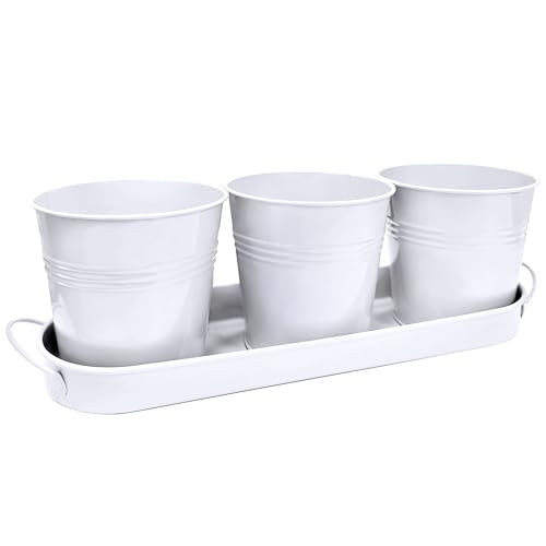 TCBWFY Indoor Herb Garden Planter Set - 3 Pack 4.7" White Metal Plant Pots with Drainage Holes & Removable Tray - Windowsill Kitchen Counter Balcony Office Garden - color: White