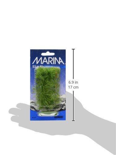 Marina Aquascaper Fish Tank Decorations, Hornwart Plant, 5-Inch - size: Small - 5"