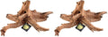 Galápagos (05285) Sinkable Driftwood Bed, Natural, Medium/11-13 (Pack of 2) - size: Medium/11-13" (Pack of 2)