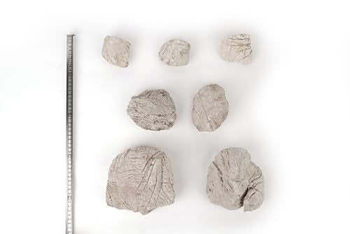 Elephant Skin Stone Natural Multi-Texture Rocks Grey(18lbs, 3~9 inches,7pcs) for Aquarium, Paludarium, Terrariums, Landscaping, Decorative of Caves, Waterfalls, Cliffs - size: 16 Elephant Skin Stone Grey(3-9 inches,18lbs)
