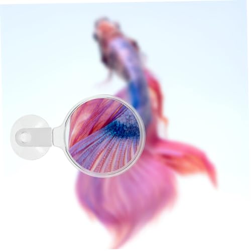 BESPORTBLE Aquarium Glass Cup for Observing Small Fish Betta Fish Ants and Plants Easy to Install Stable and View