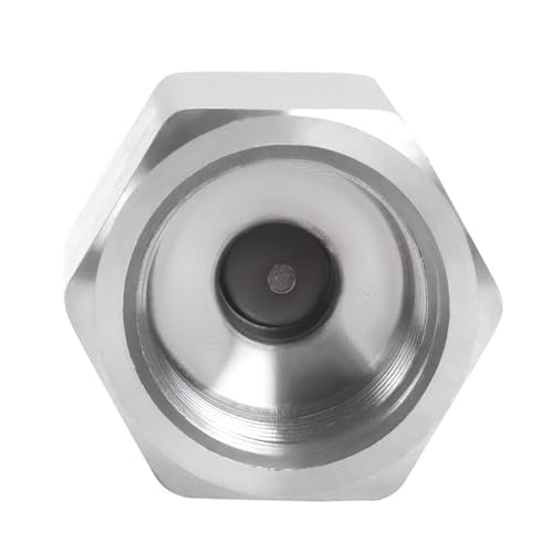 Air Check Valve - 1/2" NPT Female x Male High Temperature Stainless Steel Hex One Way Valve For Air - size: 1/2" NPT, style: Female x Male