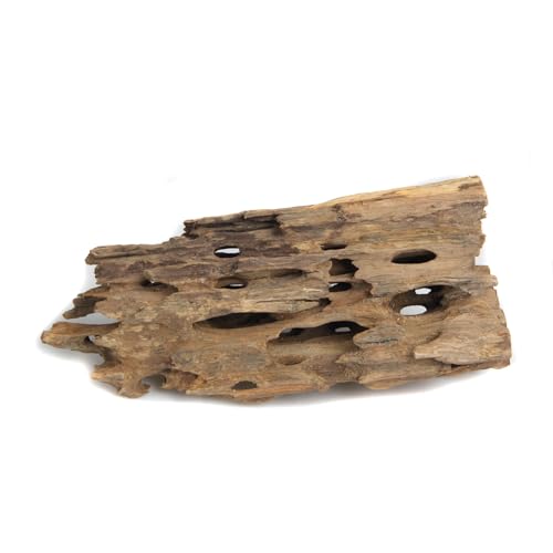 emours Driftwood Branches Reptiles Aquarium Decoration Assorted Size,(5.5-8 inch in Length),4 Pieces (Shrimp Wood)