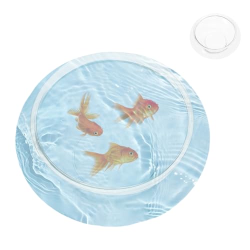 DOITOOL Clear Fish Bowl Vase Glass Bubble Bowl Round Shallow Planter Terrarium Fish Bowl Water Lily Bowl Wide Mouth Flower Vase Aquatic Plant Pot Hydroponic Planter Glass Fish Tank Bowl, S - size: 15.00X15.00X6.00CM