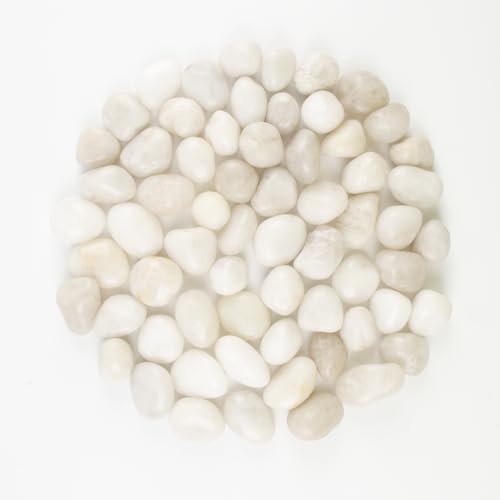 River Rocks - Natural Polished White Pebbles, 0.5-1 inch, 10 Lbs - Ideal for Indoor Planting, Vase Filling, Aquarium Decoration, and Garden Landscaping (White, Weight: 10 LB) - color: White, size: Weight: 10 LB