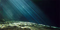 36X24 Inches Fish Tank Aquarium Background, 3D Black Sunshine Underwater World Background Decor, Undersea Theme Durable Polyester Background with 8 EVA Double-Sided Tapes - size: 36X24in/90X60cm