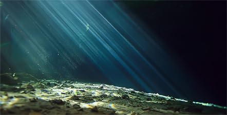 72X24 Inches Fish Tank Aquarium Background, 3D Black Sunshine Underwater World Background Decor, Undersea Theme Durable Polyester Background with 8 EVA Double-Sided Tapes - size: 72X24in/180X60cm