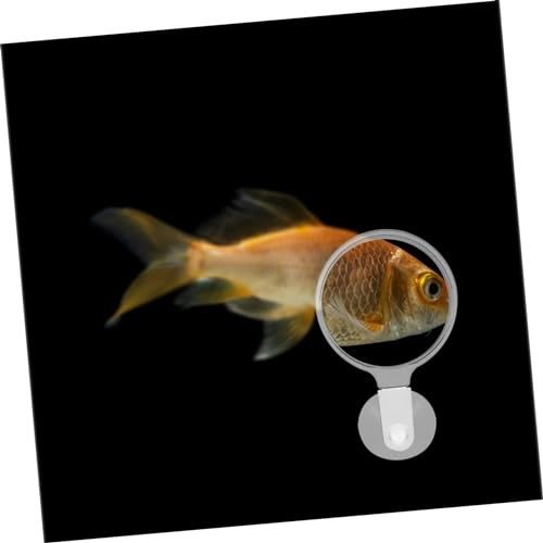 Alasum Betta Fish Glass Cup Viewer for Ants Spiders and Small Aquatic Animals Easy Installation for Plant Observation Fish Tanks