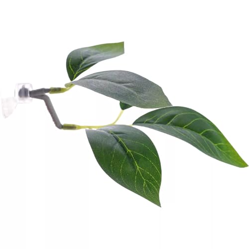 2 Pcs Fish Tank Accessories Fish Leaf Pad Aquarium Décor Simulating The Natural Habitat for Betta Spawning Grounds Breeding Resting Bed with Plastic Suction Cup