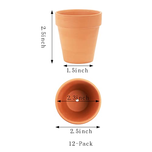 Yishang 2.5 inch Terracotta Pots with Drainage Holes,Small Mini Clay Ceramic Pottery Planter,Cactus Flower Terra Cotta Pots,Succulents Nursery Pots for Indoor/Outdoor Plants,Crafts,Wedding-12 Pack - color: Terracotta